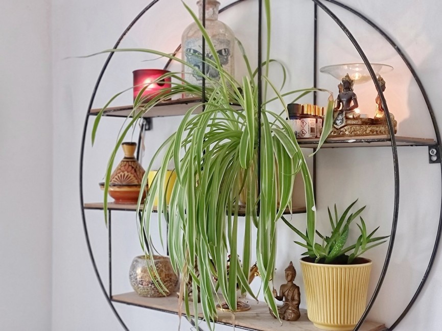 3 bedroom House for Sale Silsoe, Bedfordshire