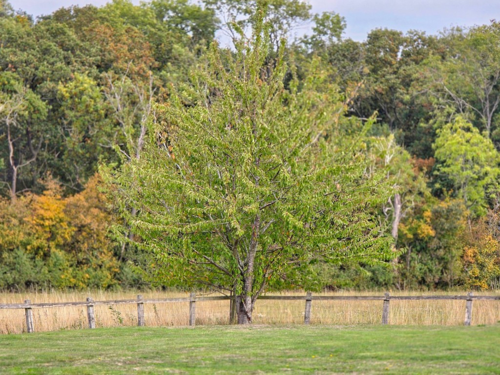 Maulden, Bedfordshire
