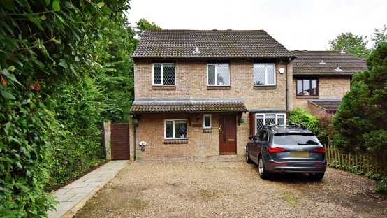 Birchall Wood, Welwyn Garden City, Hertfordshire