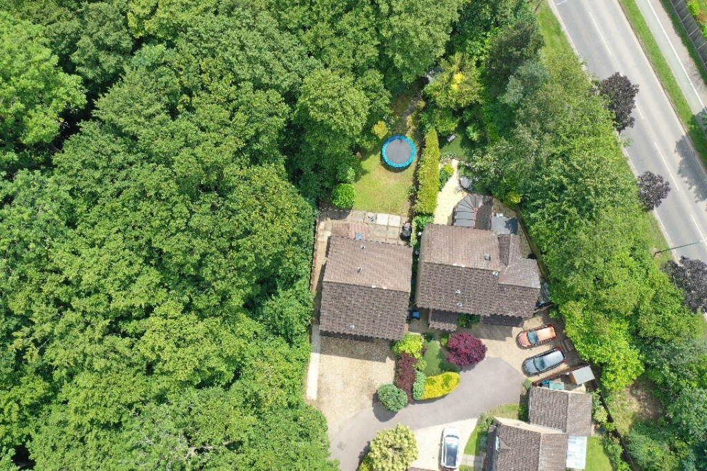 Birchall Wood, Welwyn Garden City, Hertfordshire