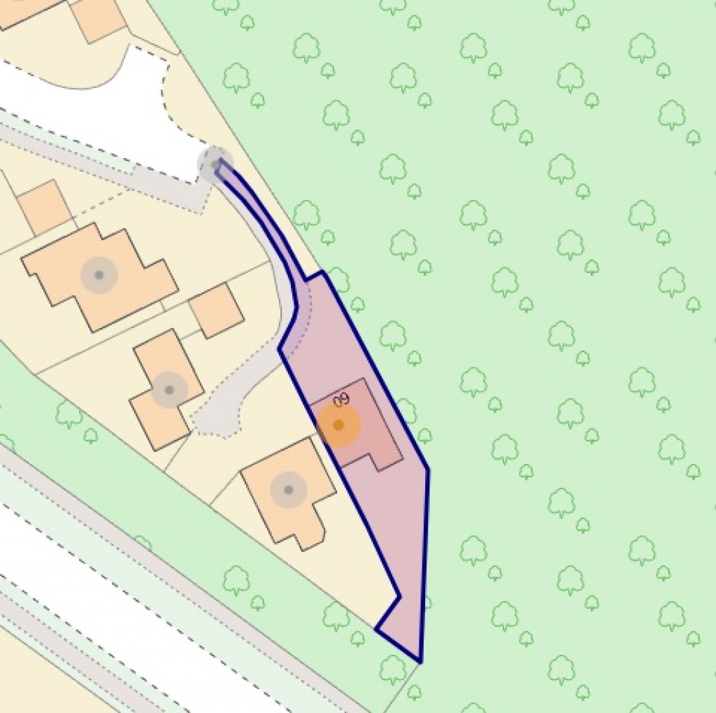 Birchall Wood, Welwyn Garden City, Hertfordshire