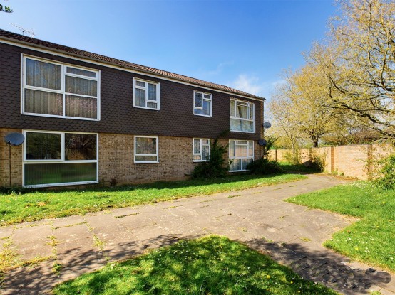 Jackdaws, Welwyn Garden City, Hertfordshire