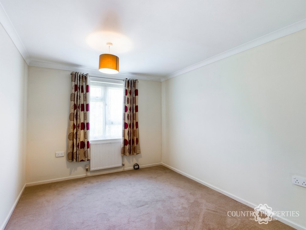 Jackdaws, Welwyn Garden City, Hertfordshire