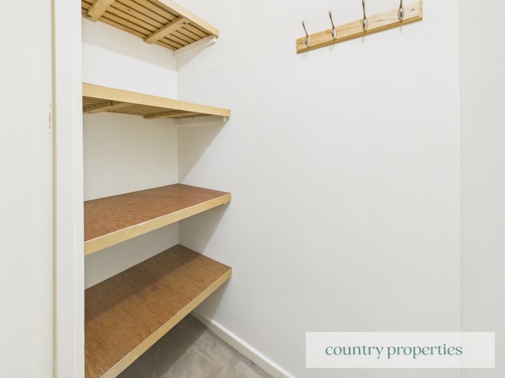 Jackdaws, Welwyn Garden City, Hertfordshire