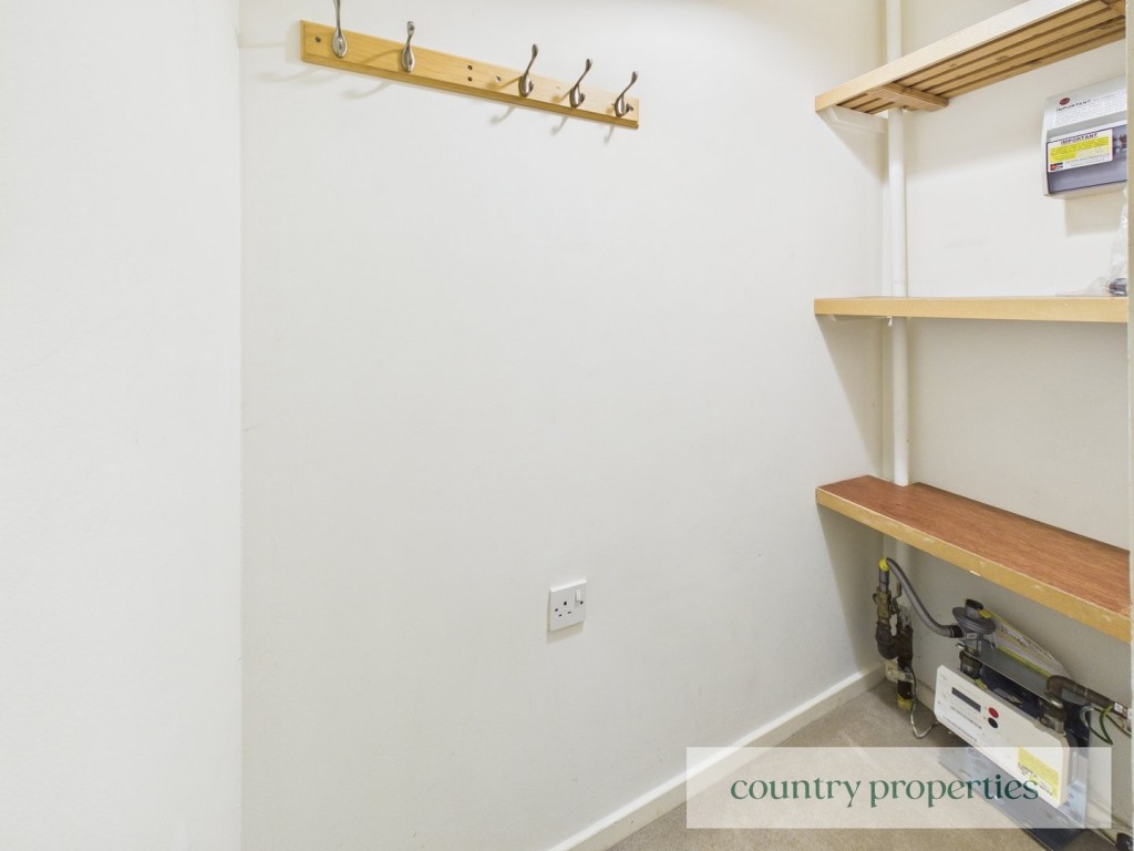 Jackdaws, Welwyn Garden City, Hertfordshire