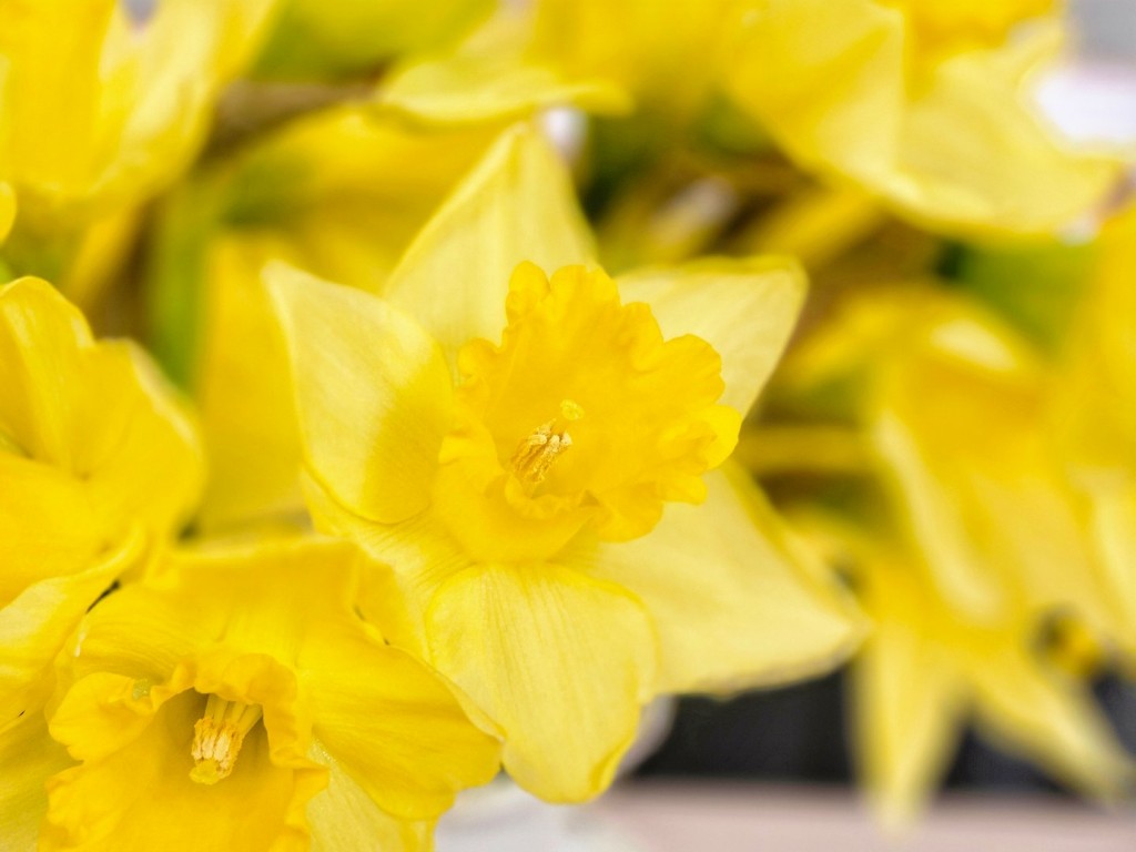 Ampthill, Bedfordshire