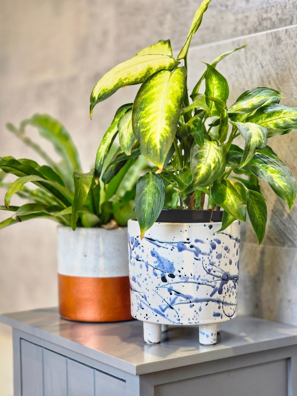 Ampthill, Bedfordshire