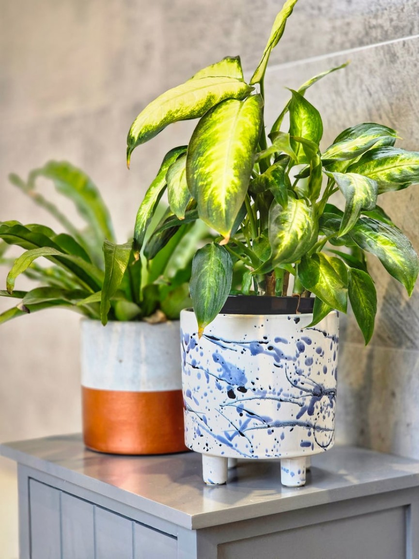 4 bedroom House for Sale Ampthill, Bedfordshire