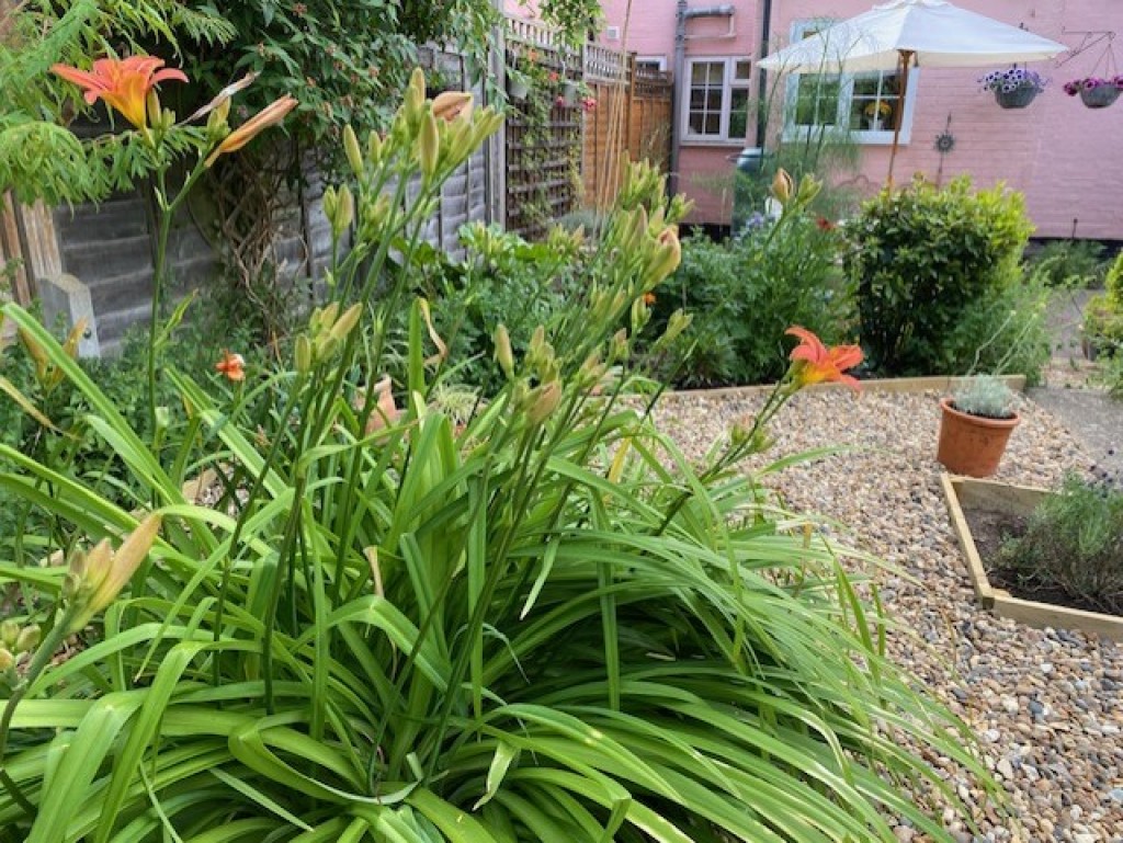 Common View, Letchworth Garden City, Hertfordshire