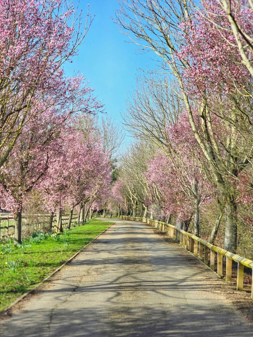 4 bedroom House for Sale Ampthill, Bedfordshire