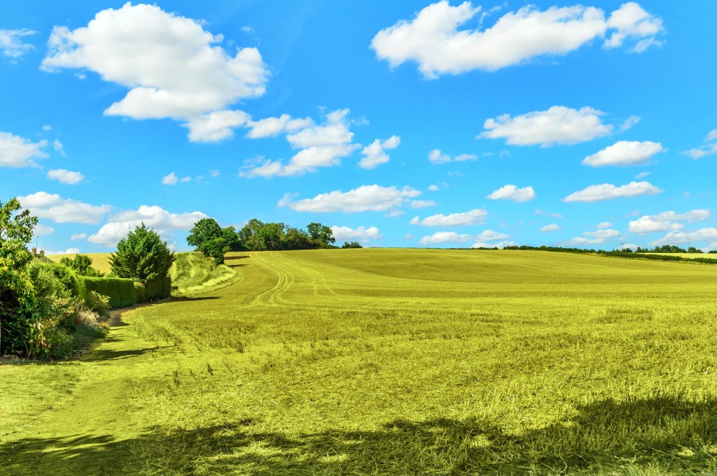 Celtic Mead, Shefford, Bedfordshire