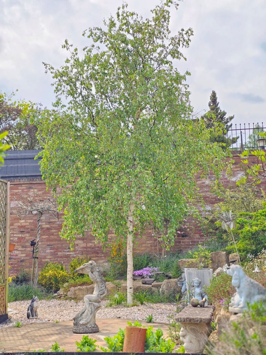 2 bedroom Bungalow for Sale Maulden, Bedfordshire