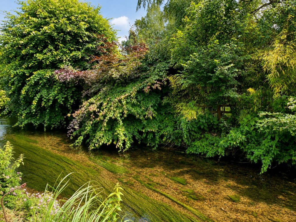 Lemsford, Welwyn Garden City, Hertfordshire