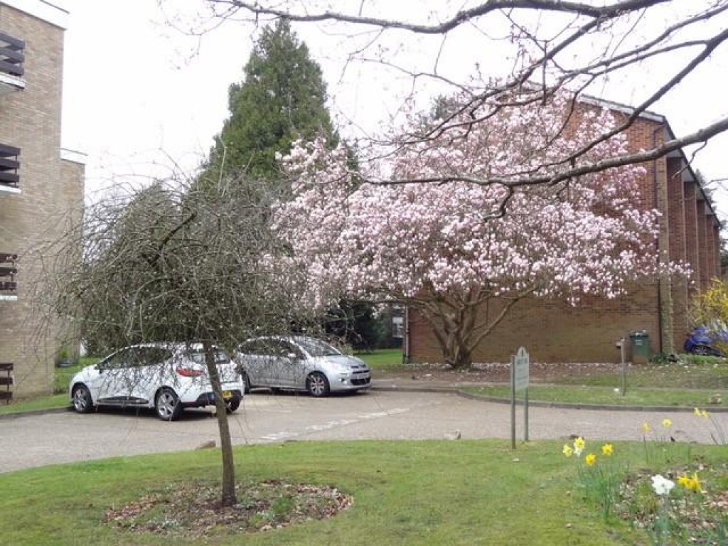 Abbots Park, St. Albans