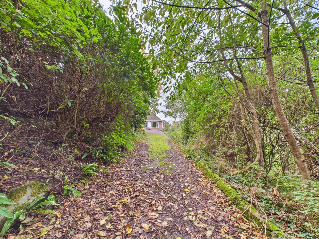 Hammetts Lane, Bishops Tawton, Barnstaple, North Devon, EX32 0BA