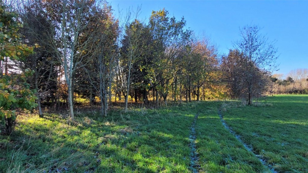 Scawby Brook, Brigg
