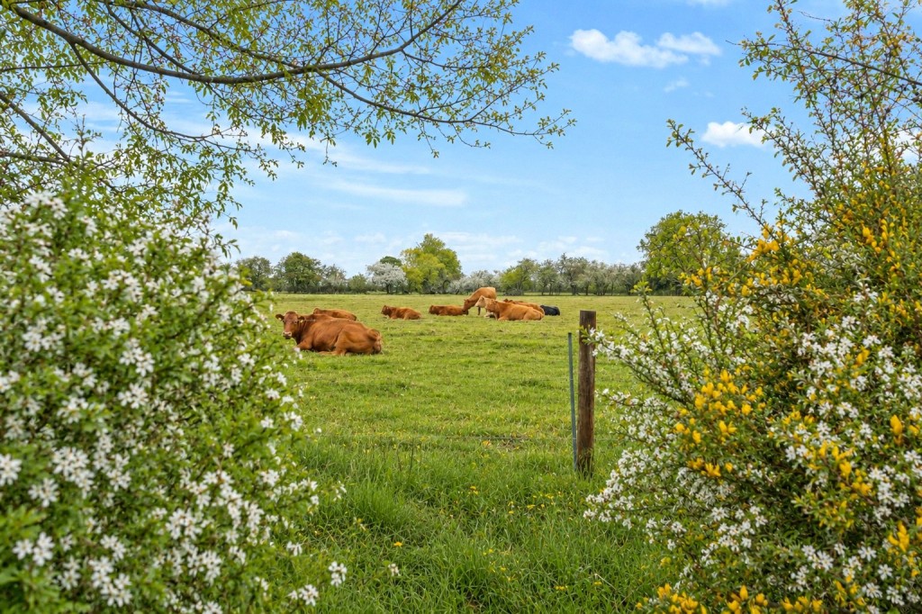 Maltby le Marsh, Lincolnshire