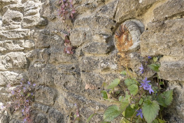 image for Bridport, Dorset