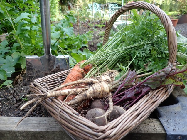 image for Evershot, Dorset