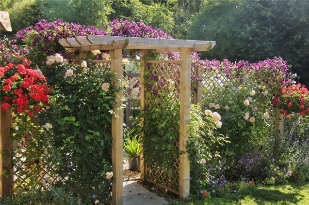image for Dewlish, Dorset