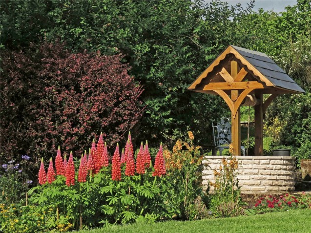 image for Dewlish, Dorset