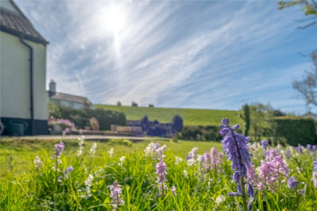 image for Milton Abbas, Blandford Forum, Dorset