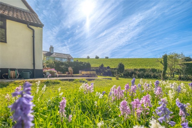 image for Milton Abbas, Blandford Forum, Dorset