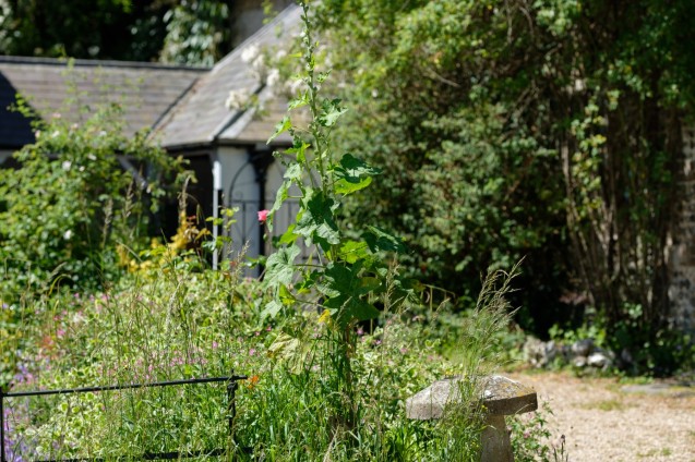 image for Charminster, Dorchester