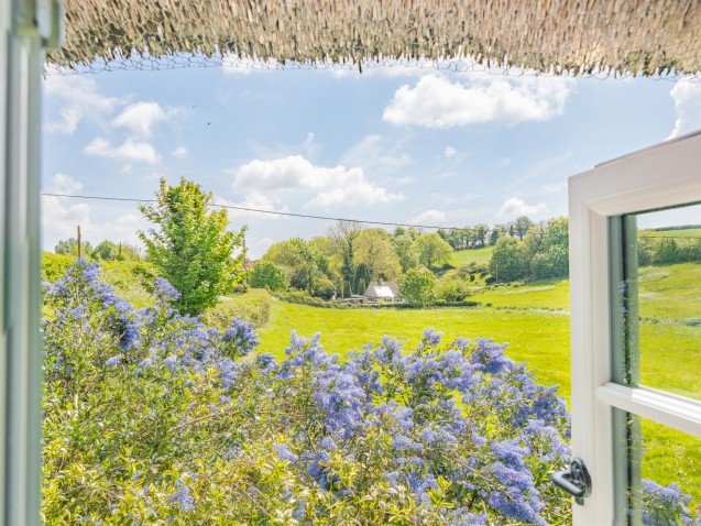 image for Cheselbourne, Dorchester