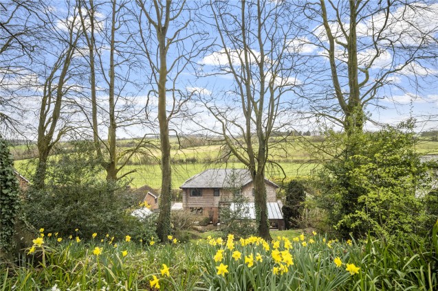 image for Winterborne Stickland, Blandford Forum, Dorset