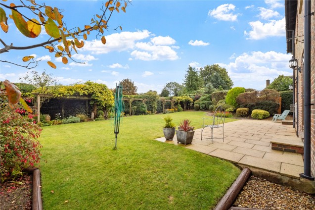 image for Anderson, Dorset