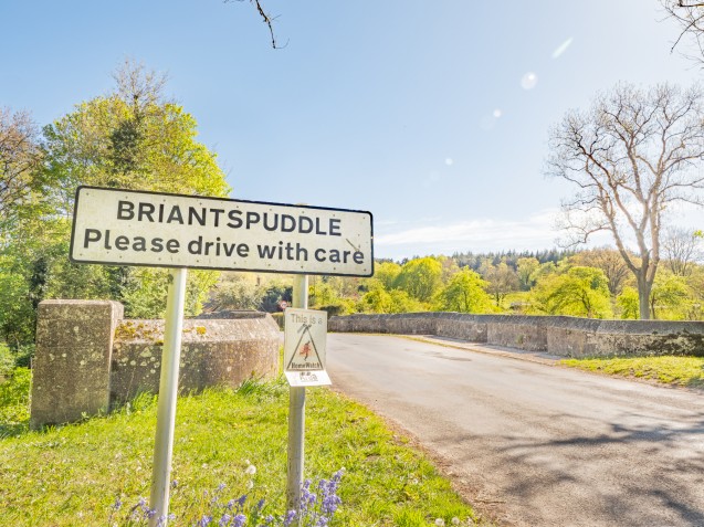image for Briantspuddle, Dorchester, Dorset