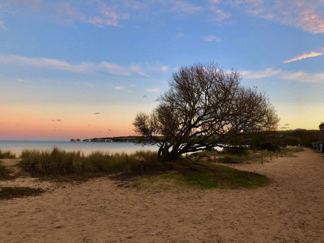 image for Studland, Dorset