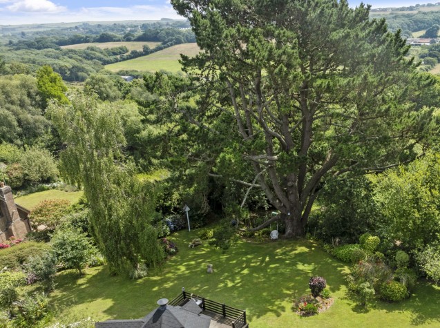 image for Harmans Cross, Dorset