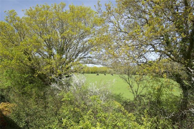 image for Stoborough Meadows, Stoborough, Wareham