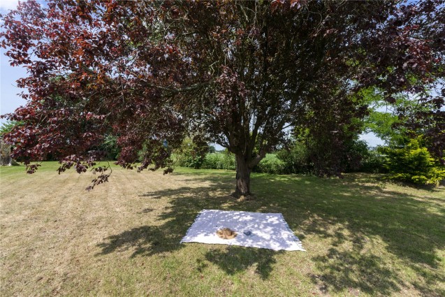 image for Moreton, Dorset