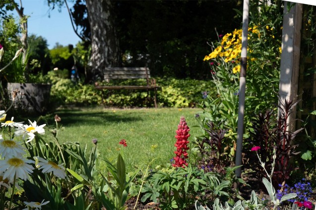 image for Wareham, Dorset