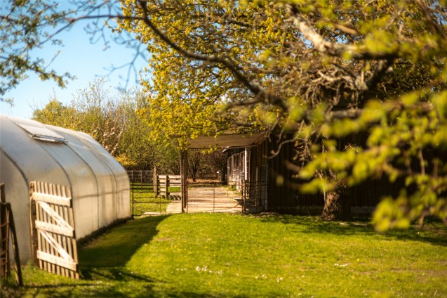 image for East Stoke, Wareham, Dorset