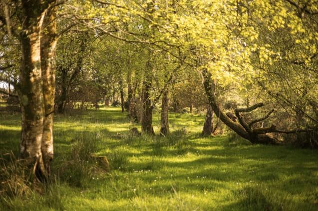 image for East Stoke, Wareham, Dorset