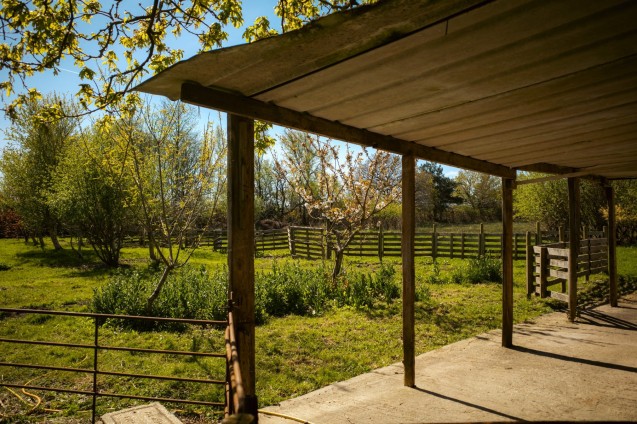 image for East Stoke, Wareham, Dorset