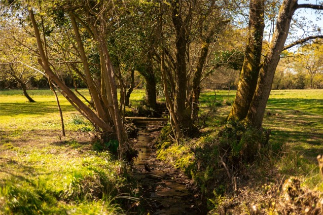 image for East Stoke, Wareham, Dorset