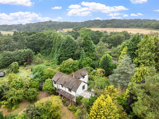 image for Holmebridge Common, Wareham, Dorset