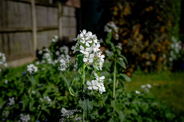 image for Wareham, Dorset