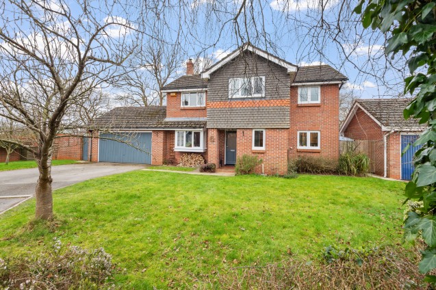 image for Ridge, Wareham