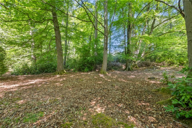 image for Wareham, Dorset