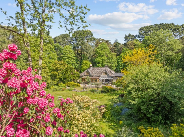 image for Wareham, Dorset