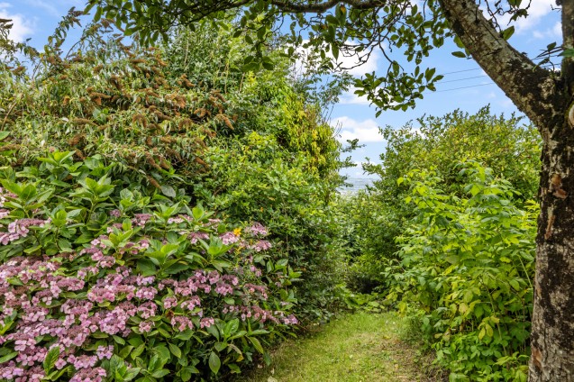 image for Ryall, Bridport, Dorset