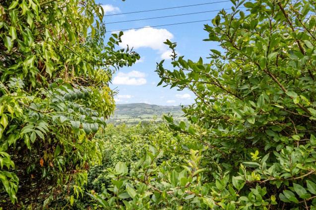 image for Ryall, Bridport, Dorset