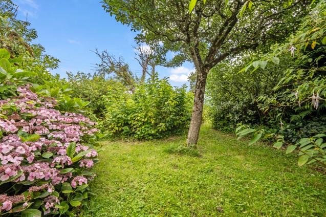 image for Ryall, Bridport, Dorset