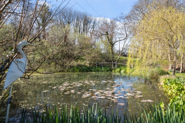 image for Bridport, Dorset